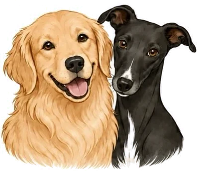 Watercolour portrait of the Darling Dogs golden retriever and greyhound